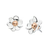 Dew Anemone Flower with 14kt Rose Gold Plate Sterling Silver Stud Earrings - Eagle and Pearl Jewelers