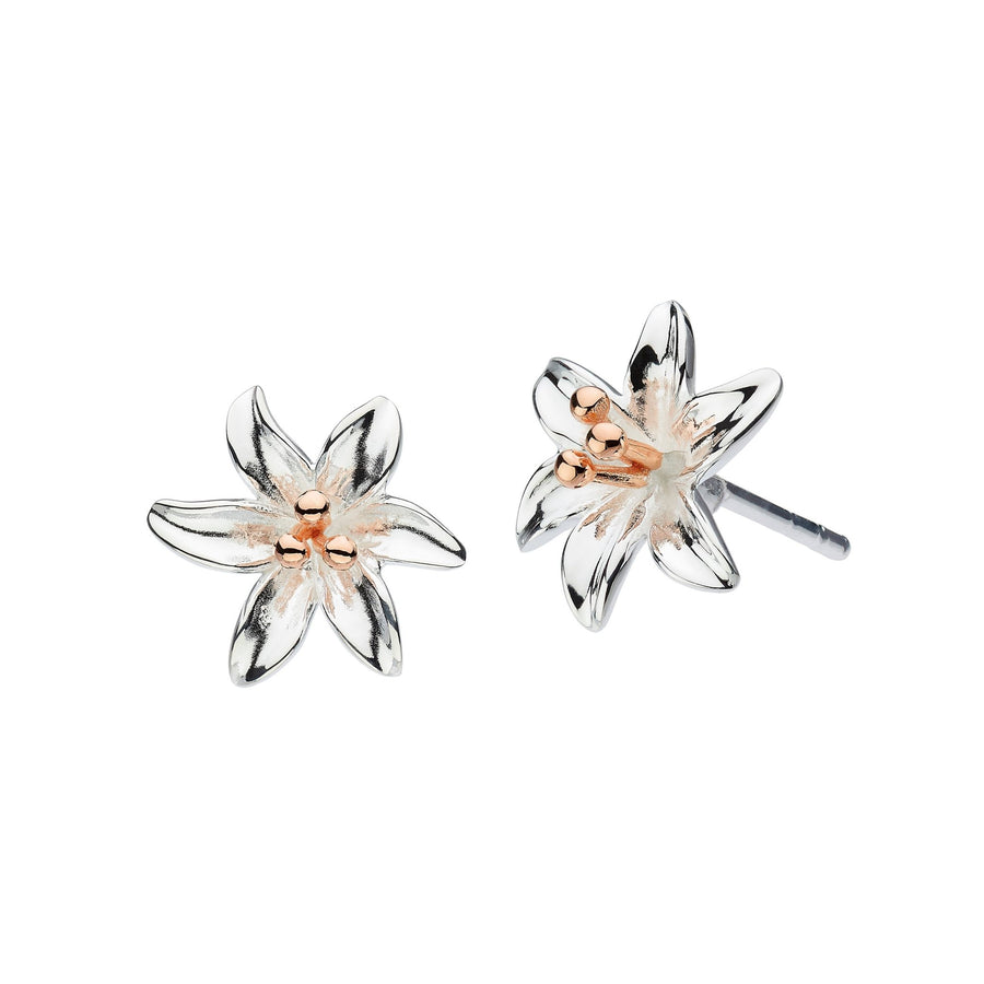 Special Offer: Tiger Lily Sterling Silver Stud Earrings - Eagle and Pearl Jewelers